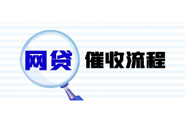 岚皋为什么选择专业追讨公司来处理您的债务纠纷？